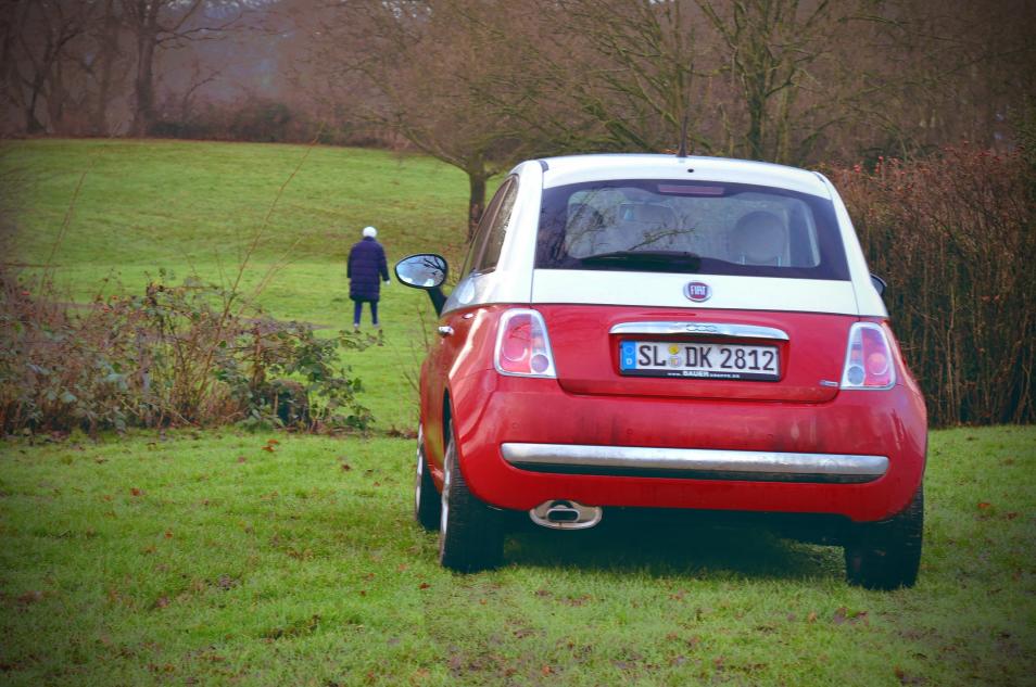 Название: DSC_0608.jpg
Просмотров: 8839
Размер: 97.5 Кб