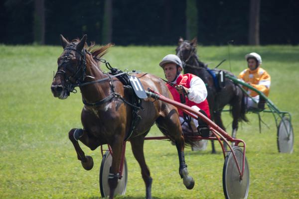 Название: IMG_8607.jpg
Просмотров: 888
Размер: 34.8 Кб