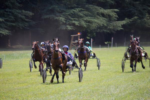 Название: IMG_8631.jpg
Просмотров: 791
Размер: 41.5 Кб