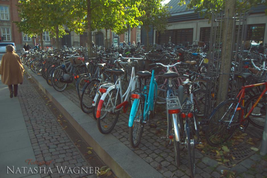 Название: DSC_0019.jpg
Просмотров: 7553
Размер: 96.9 Кб