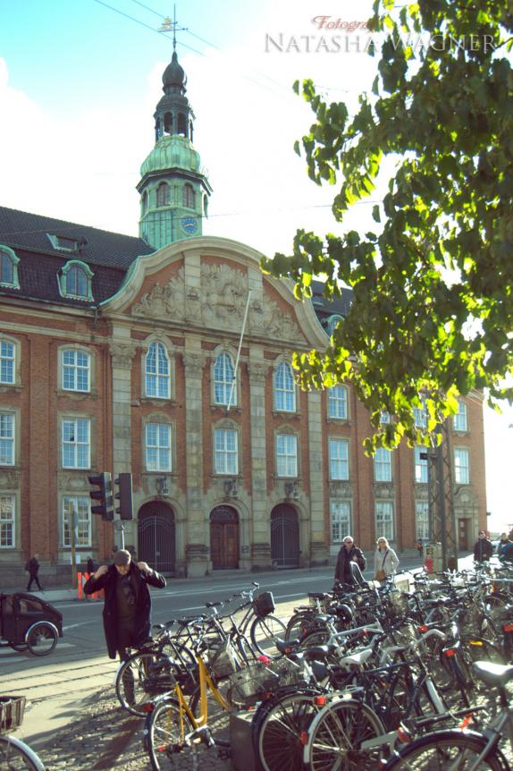 Название: DSC_0020.jpg
Просмотров: 6563
Размер: 100.6 Кб