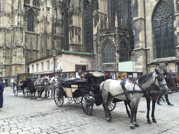 Название: IMG_1974.jpg
Просмотров: 887
Размер: 64.1 Кб