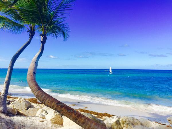 Название: image.jpg
Просмотров: 763
Размер: 42.1 Кб