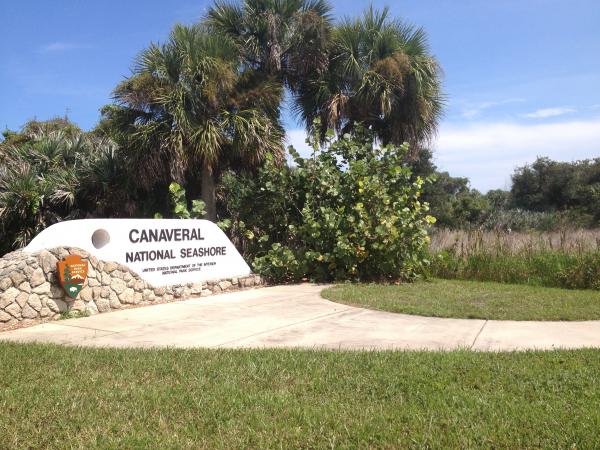 Название: IMG_6108.jpg
Просмотров: 779
Размер: 65.3 Кб