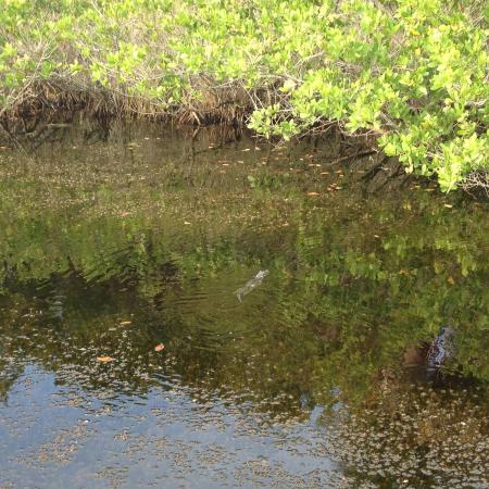 Название: IMG_6865a.jpg
Просмотров: 721
Размер: 56.6 Кб