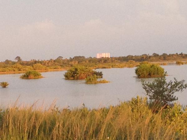 Название: IMG_6265a.jpg
Просмотров: 724
Размер: 34.0 Кб