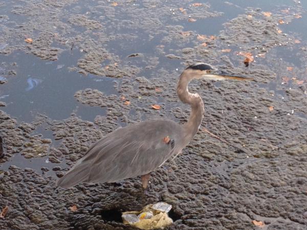 Название: IMG_6003.jpg
Просмотров: 787
Размер: 57.8 Кб