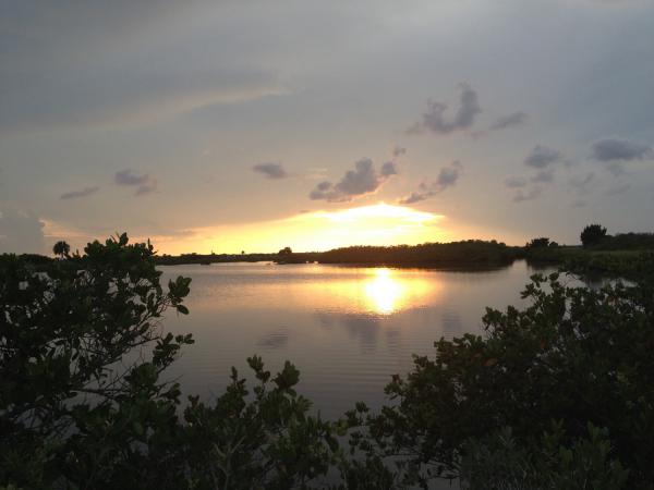 Название: IMG_6262a.jpg
Просмотров: 715
Размер: 26.4 Кб