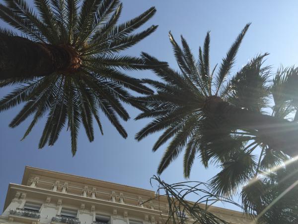 Название: IMG_0844.jpg
Просмотров: 766
Размер: 51.4 Кб