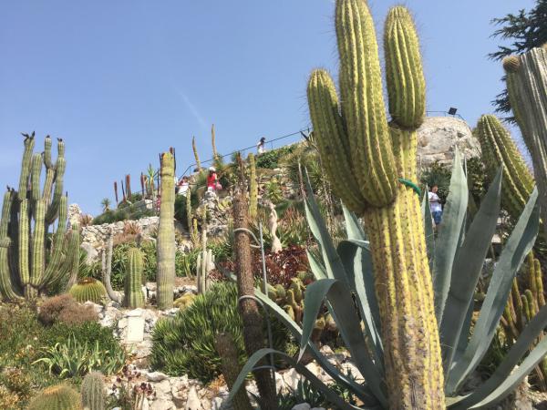 Название: IMG_1180.jpg
Просмотров: 824
Размер: 59.7 Кб