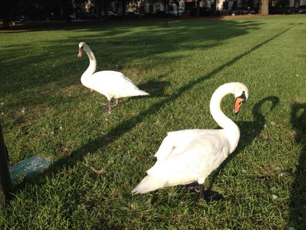 Название: IMG_5944.jpg
Просмотров: 785
Размер: 69.1 Кб