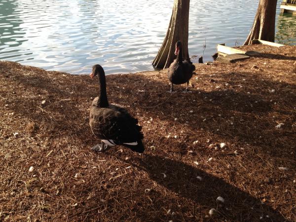 Название: IMG_5967.jpg
Просмотров: 791
Размер: 77.0 Кб