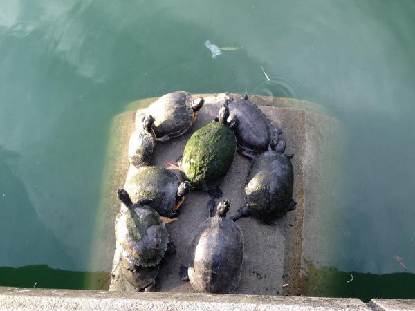 Название: IMG_5977.jpg
Просмотров: 775
Размер: 32.5 Кб