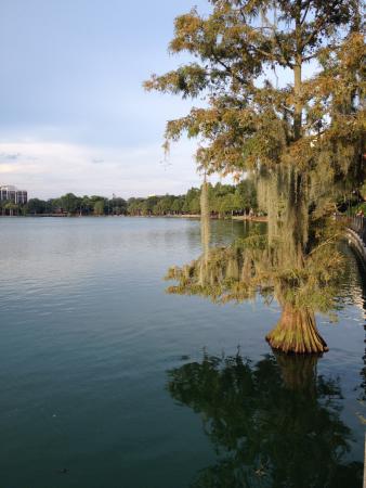 Название: IMG_5979.jpg
Просмотров: 795
Размер: 26.2 Кб