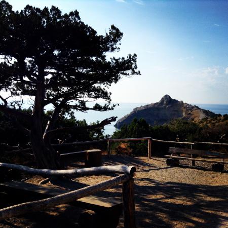 Название: IMG_3604.jpg
Просмотров: 4549
Размер: 40.5 Кб