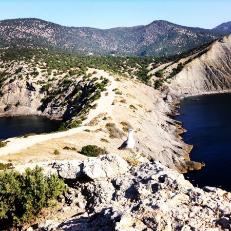 Название: IMG_3603.jpg
Просмотров: 4654
Размер: 64.1 Кб