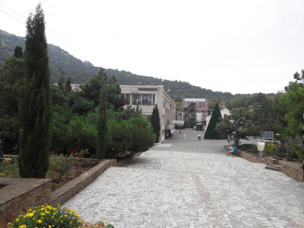 Название: CAM06504.jpg
Просмотров: 4088
Размер: 38.5 Кб