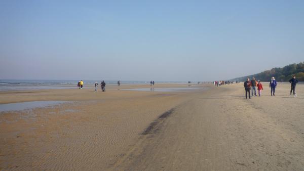 Название: P1040664.jpg
Просмотров: 1204
Размер: 16.4 Кб