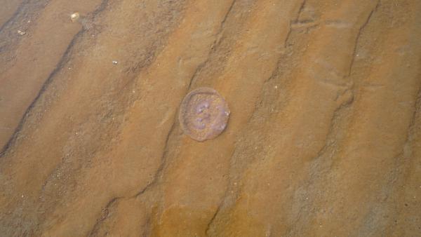 Название: P1040672.jpg
Просмотров: 1206
Размер: 23.6 Кб