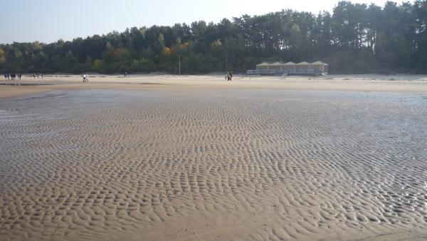 Название: P1040673.jpg
Просмотров: 1382
Размер: 34.5 Кб