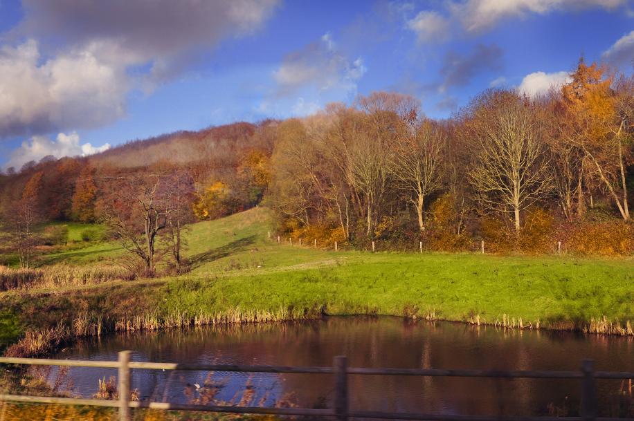 Название: DSC_0971.jpg
Просмотров: 3981
Размер: 97.6 Кб