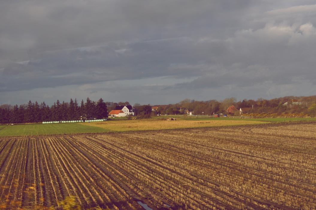 Название: DSC_1079.jpg
Просмотров: 3999
Размер: 95.0 Кб