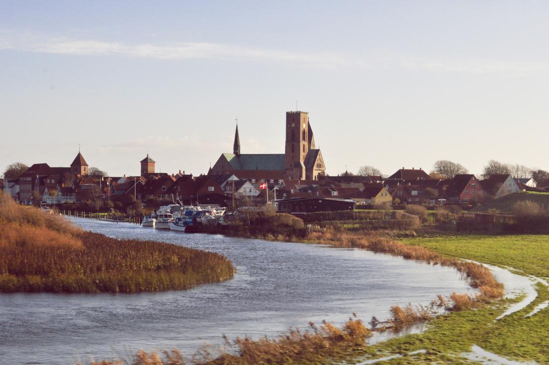 Название: DSC_1071.jpg
Просмотров: 3522
Размер: 94.1 Кб