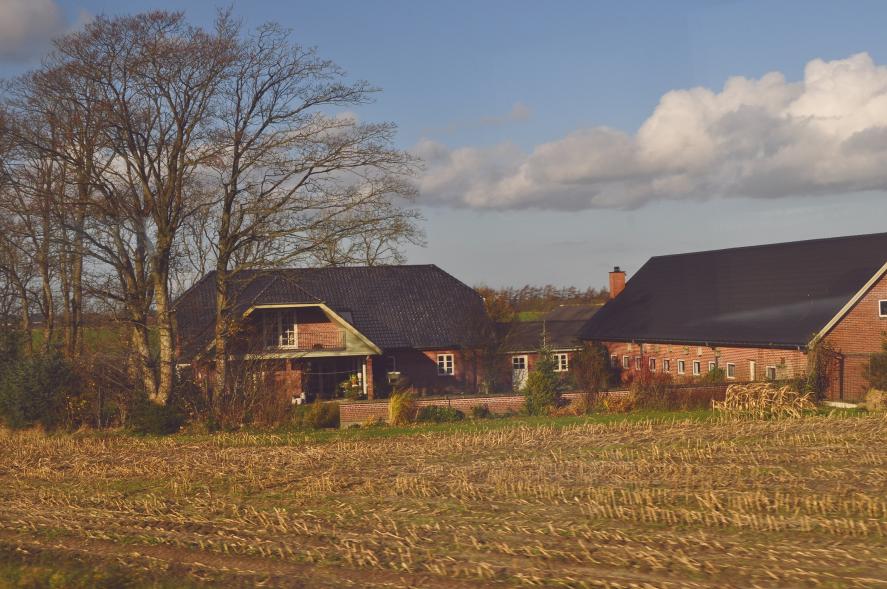 Название: DSC_1023.jpg
Просмотров: 3508
Размер: 98.0 Кб