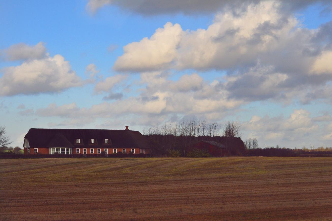 Название: DSC_1013.jpg
Просмотров: 3492
Размер: 90.6 Кб