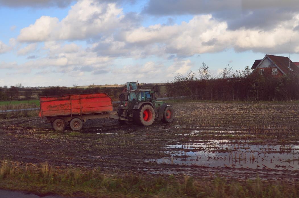 Название: DSC_1012.jpg
Просмотров: 3920
Размер: 95.0 Кб