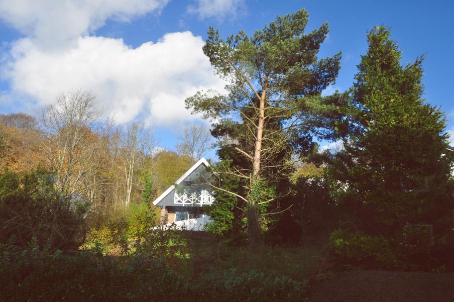 Название: DSC_0969.jpg
Просмотров: 3967
Размер: 97.7 Кб