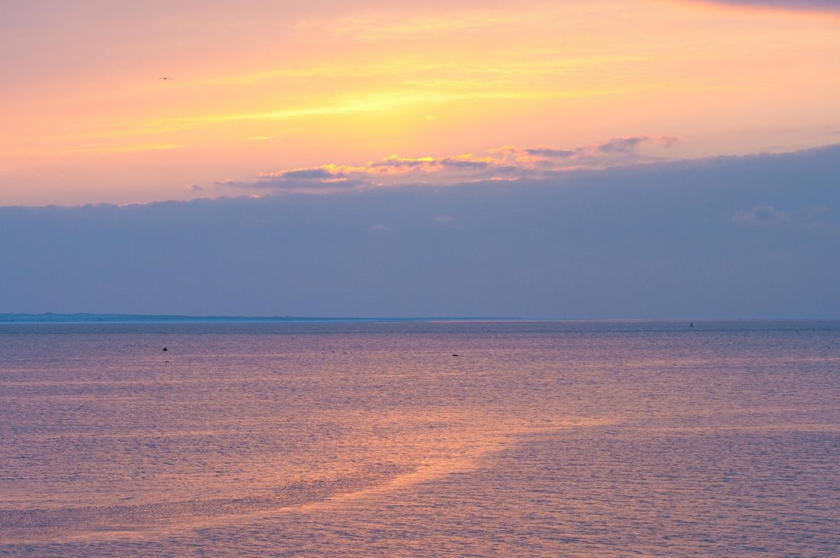 Название: DSC_0317.jpg
Просмотров: 3509
Размер: 97.3 Кб