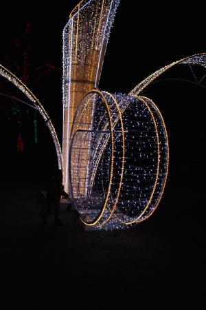 Название: IMG_2182 copy.jpg
Просмотров: 1246
Размер: 21.0 Кб