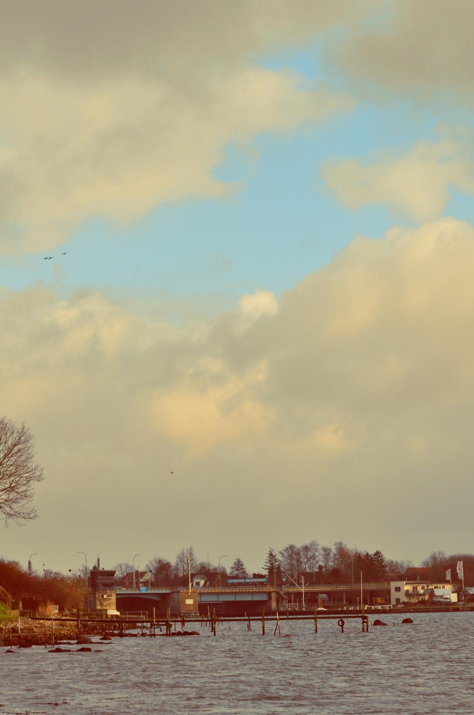 Название: DSC_0555.jpg
Просмотров: 3018
Размер: 85.9 Кб