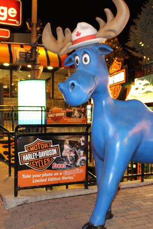 Название: IMG_2158 copy.jpg
Просмотров: 1042
Размер: 31.0 Кб