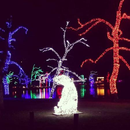 Название: FB_IMG_1449504653648-2-1024x1024.jpg
Просмотров: 1234
Размер: 30.5 Кб