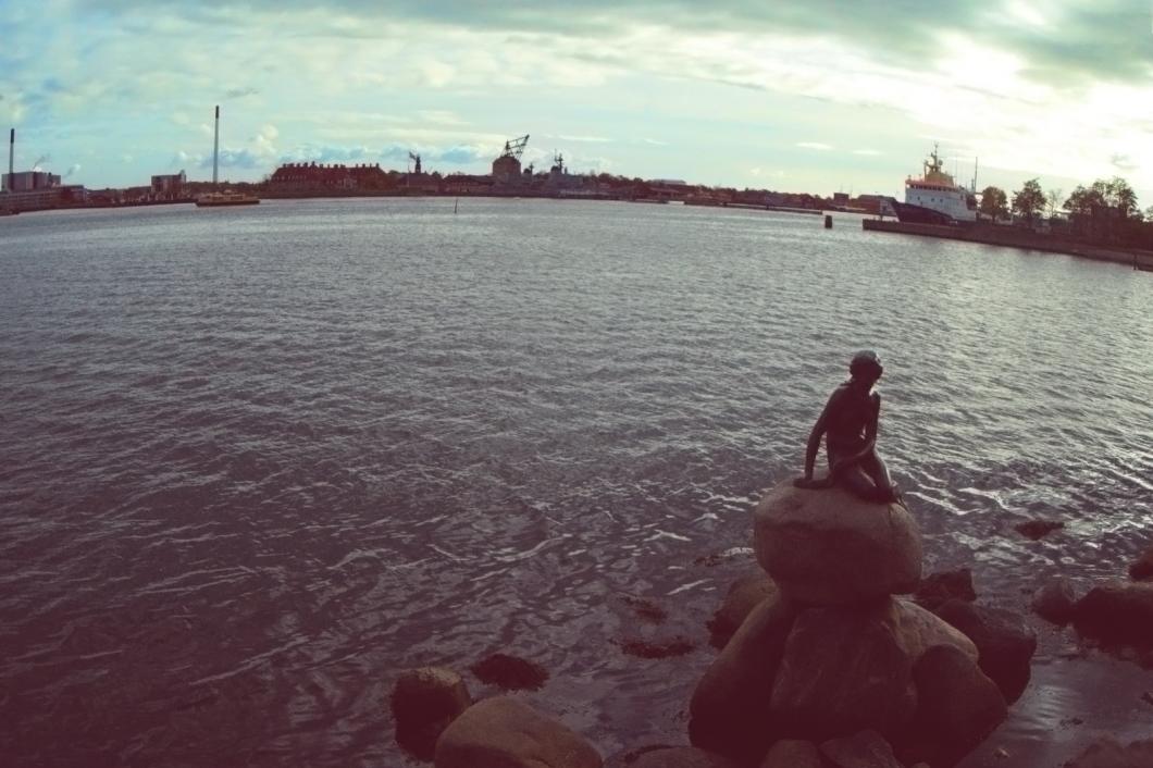 Название: DSC_0236.jpg
Просмотров: 3046
Размер: 94.7 Кб