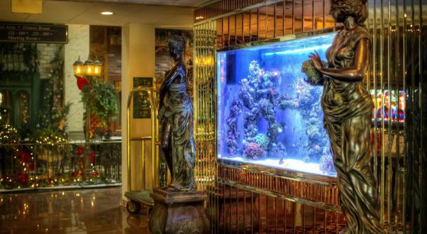 Название: 44624306.jpg
Просмотров: 5342
Размер: 45.3 Кб