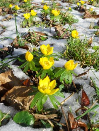 Название: vienna2016 028.jpg
Просмотров: 752
Размер: 42.2 Кб