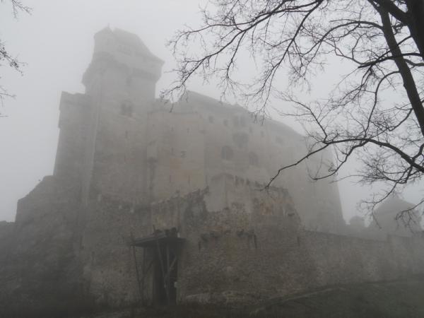 Название: vienna2016 058.jpg
Просмотров: 774
Размер: 30.6 Кб