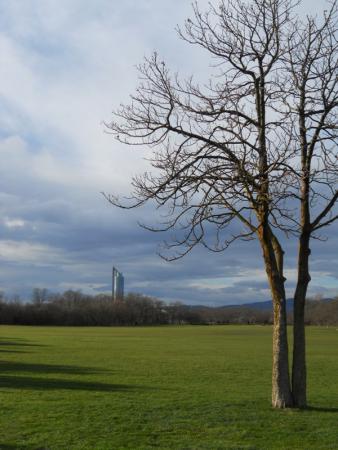 Название: vienna2016 174.jpg
Просмотров: 778
Размер: 28.7 Кб