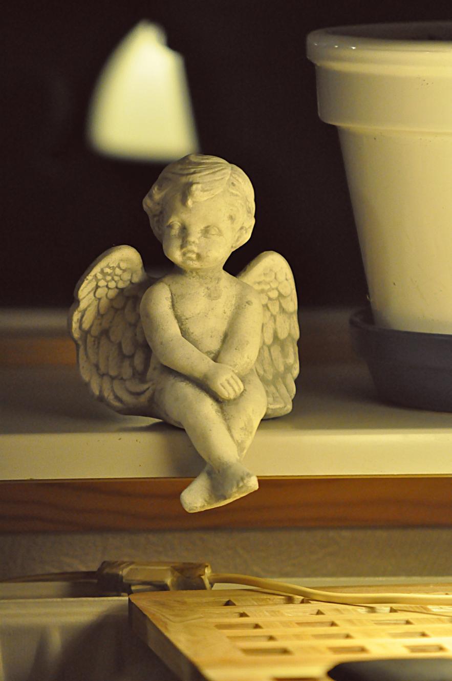 Название: DSC_0610 - копия.jpg
Просмотров: 3938
Размер: 87.6 Кб