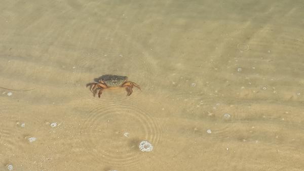 Название: 20141023_151036.jpg
Просмотров: 714
Размер: 19.1 Кб