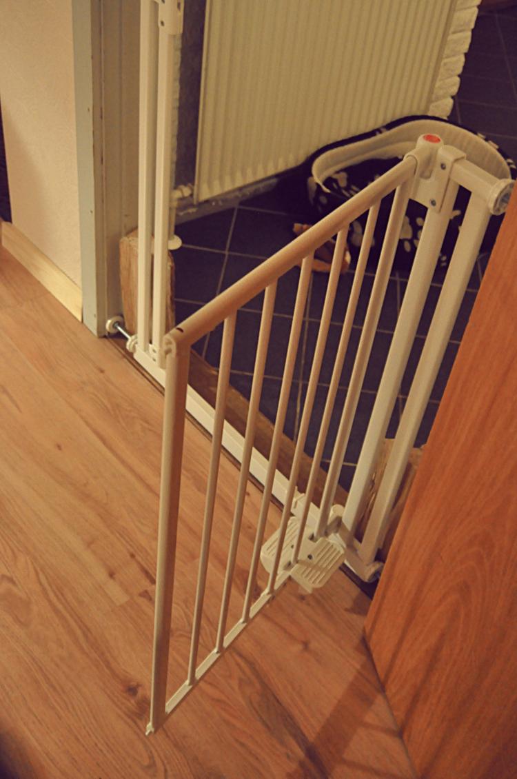 Название: DSC_0623 - копия.jpg
Просмотров: 3001
Размер: 89.0 Кб