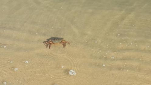 Название: image.jpg
Просмотров: 661
Размер: 12.6 Кб