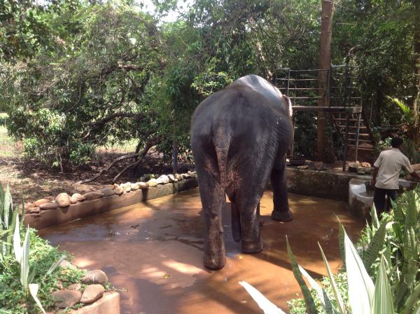 Название: 154.jpg
Просмотров: 632
Размер: 68.2 Кб