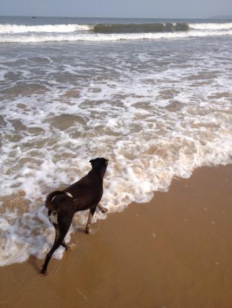 Название: 508.jpg
Просмотров: 623
Размер: 24.6 Кб