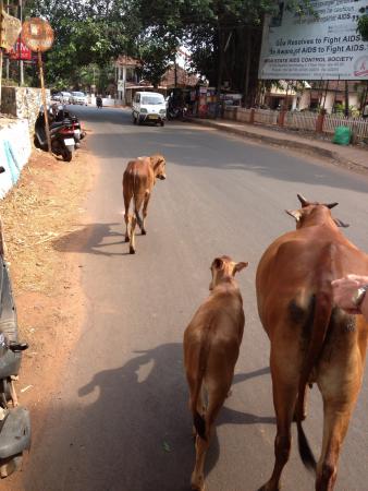 Название: 518.jpg
Просмотров: 635
Размер: 29.5 Кб