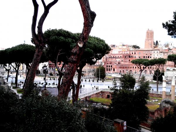 Название: CAM07983.jpg
Просмотров: 4783
Размер: 57.9 Кб