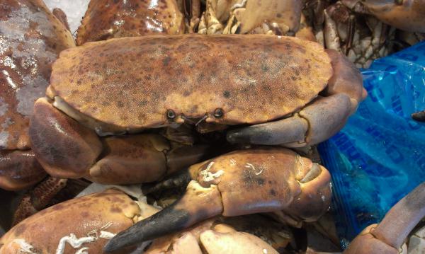 Название: IMAG3005.jpg
Просмотров: 2909
Размер: 43.1 Кб